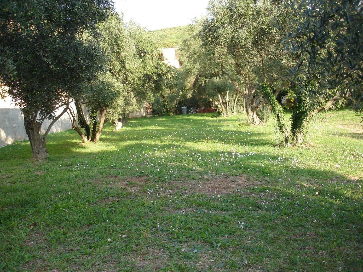 Apartmani Zoric Punat Dış mekan fotoğraf